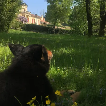 Lägenhet Barchessa Este